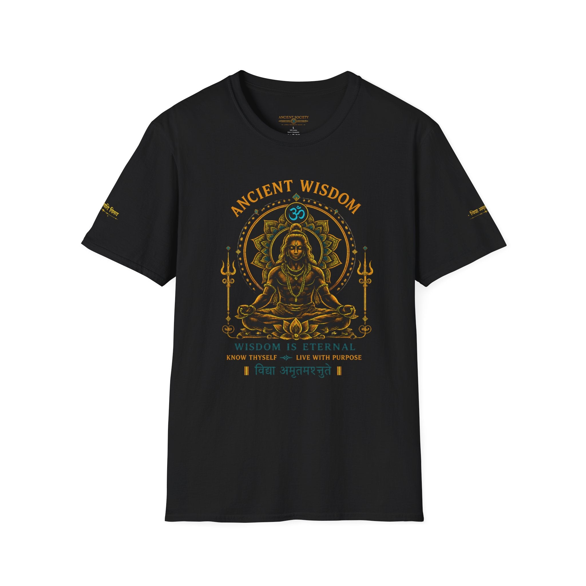 Unisex Softstyle Ancient Wisdom T-Shirt Softstyle